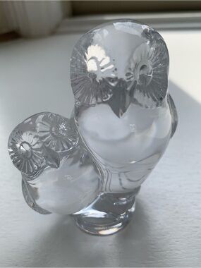 Vintage Glass Owls figurine features two clear glass owls perched together.